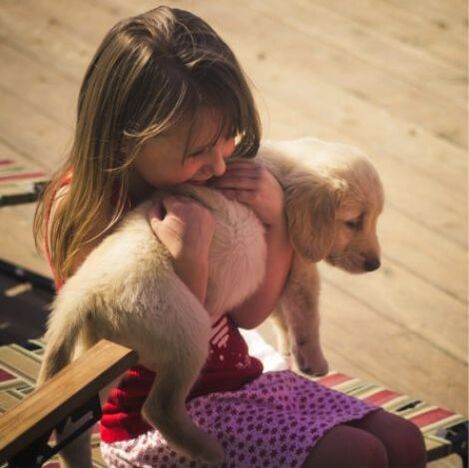 Girl holding puppy image