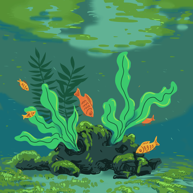 Drawing of seaweed, fish, and coral