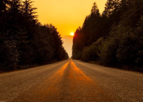 Road in forest with sun setting behind a mountain