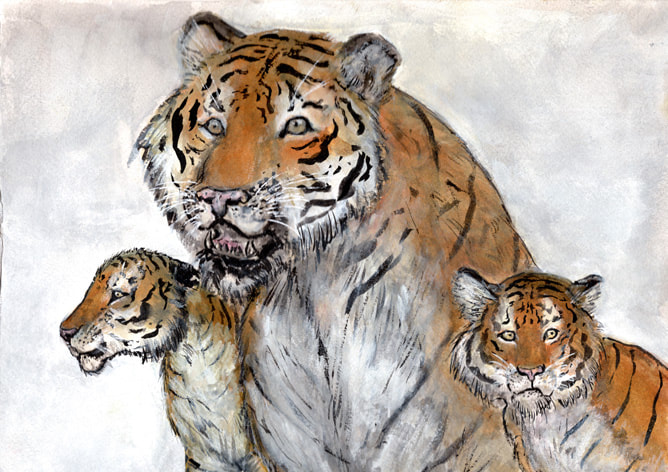 Drawing of a Siberian tiger and two cubs